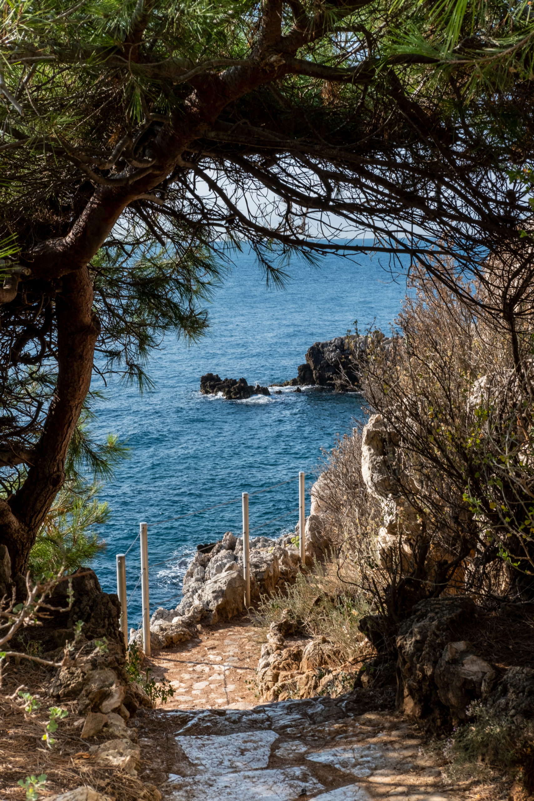 Sentier des Douaniers wild coastal path Cap d'Antibes
